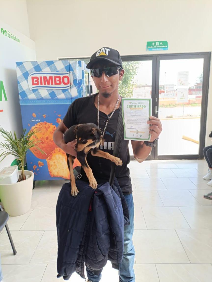 La Clínica Biofílica de Huamantla avanza en la protección y bienestar animal con más de 3 mil atenciones&nbsp;realizadas