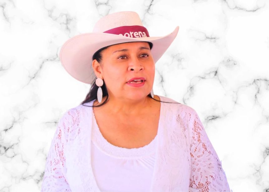 Llama Ana Lilia Rivera a militancia de Morena participar en la elección de comités&nbsp;seccionales