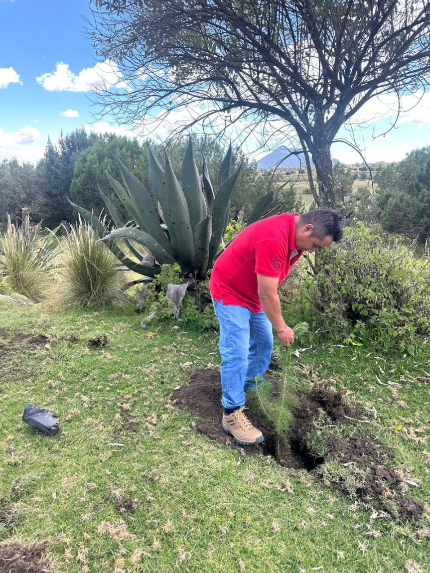 Inician reforestación en el Cerro de&nbsp;Xalapasco