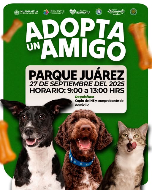 Huamantla invita a la jornada de adopción de perros y gatos en el Parque&nbsp;Juárez