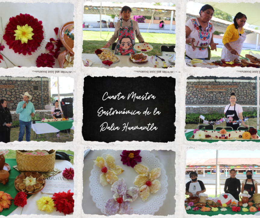 LA CUARTA MUESTRA GASTRONÓMICA DE LA DALIA EN&nbsp;HUAMANTLA