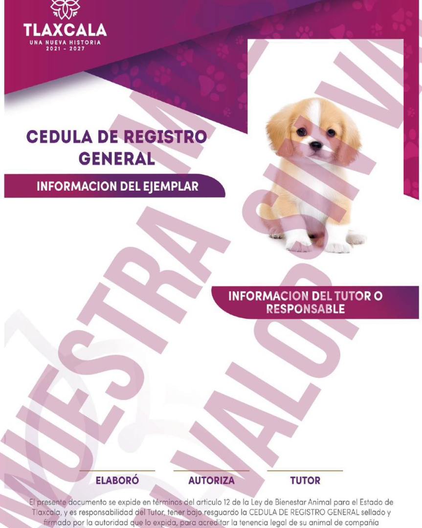 En Ixtenco, mascotas sin registro podrán ser retenidas y sus dueños&nbsp;multados