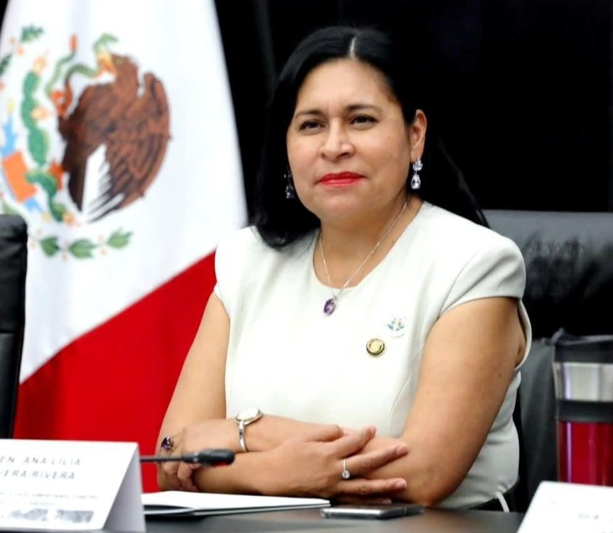 Ana Lilia Rivera es designada Coordinadora Adjunta de la Comisión Coordinadora Ejecutiva del&nbsp;FPH-ALC