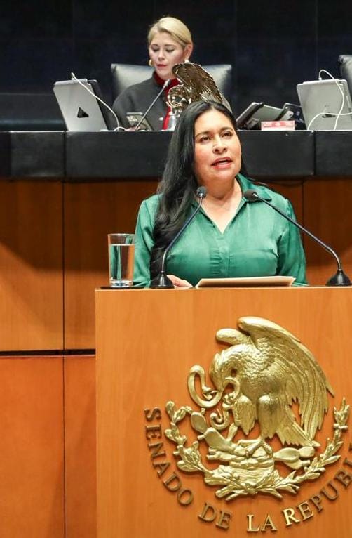 Capacitación y coordinación de fuerzas armadas mexicanas con EUA fortalece a México: Ana Lilia&nbsp;Rivera