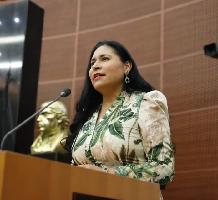 Satisfacción por balance positivo durante el último año en el Senado, expresa Ana Lilia&nbsp;Rivera