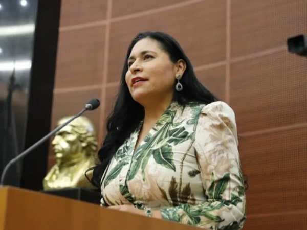 Satisfacción por balance positivo durante el último año en el Senado, expresa Ana Lilia&nbsp;Rivera