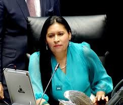 Reconoce Ana Lilia Rivera avance en el diálogo entre México y Estados&nbsp;Unidos