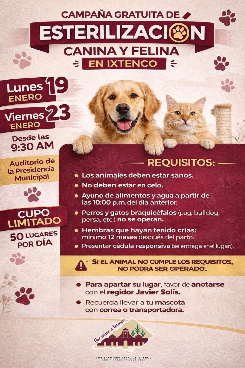 El 19 y 23 de enero habrá esterilizaciones gratuitas de perros y gatos en&nbsp;Ixtenco