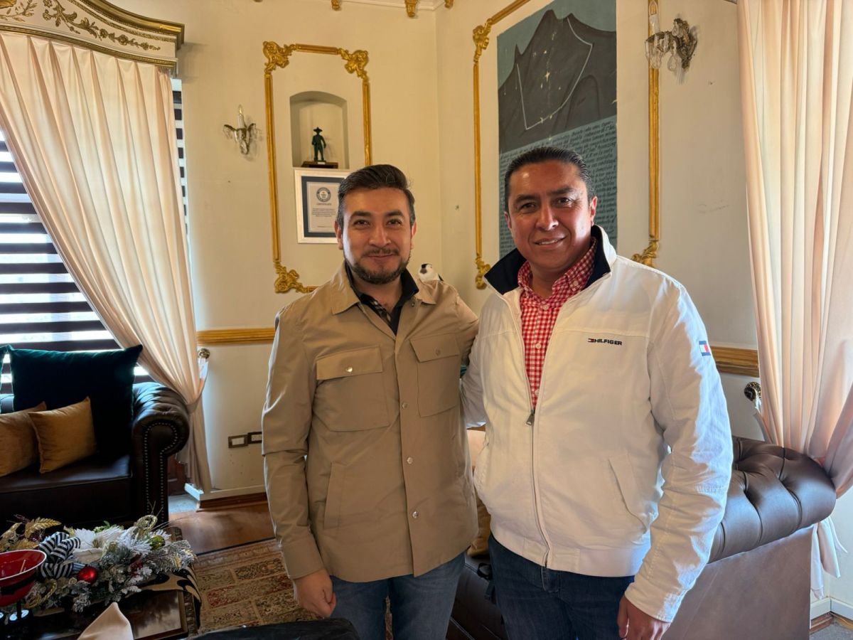 ASUME DIDIER FABIÁN LÓPEZ SÁNCHEZ LA DIRECCIÓN DE MEJORA REGULATORIA Y ARCHIVO EN&nbsp;HUAMANTLA