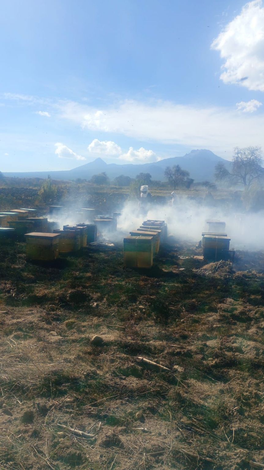 Protección Civil de Ixtenco atiende incendio de pastizal; reportan afectación a&nbsp;colmenas