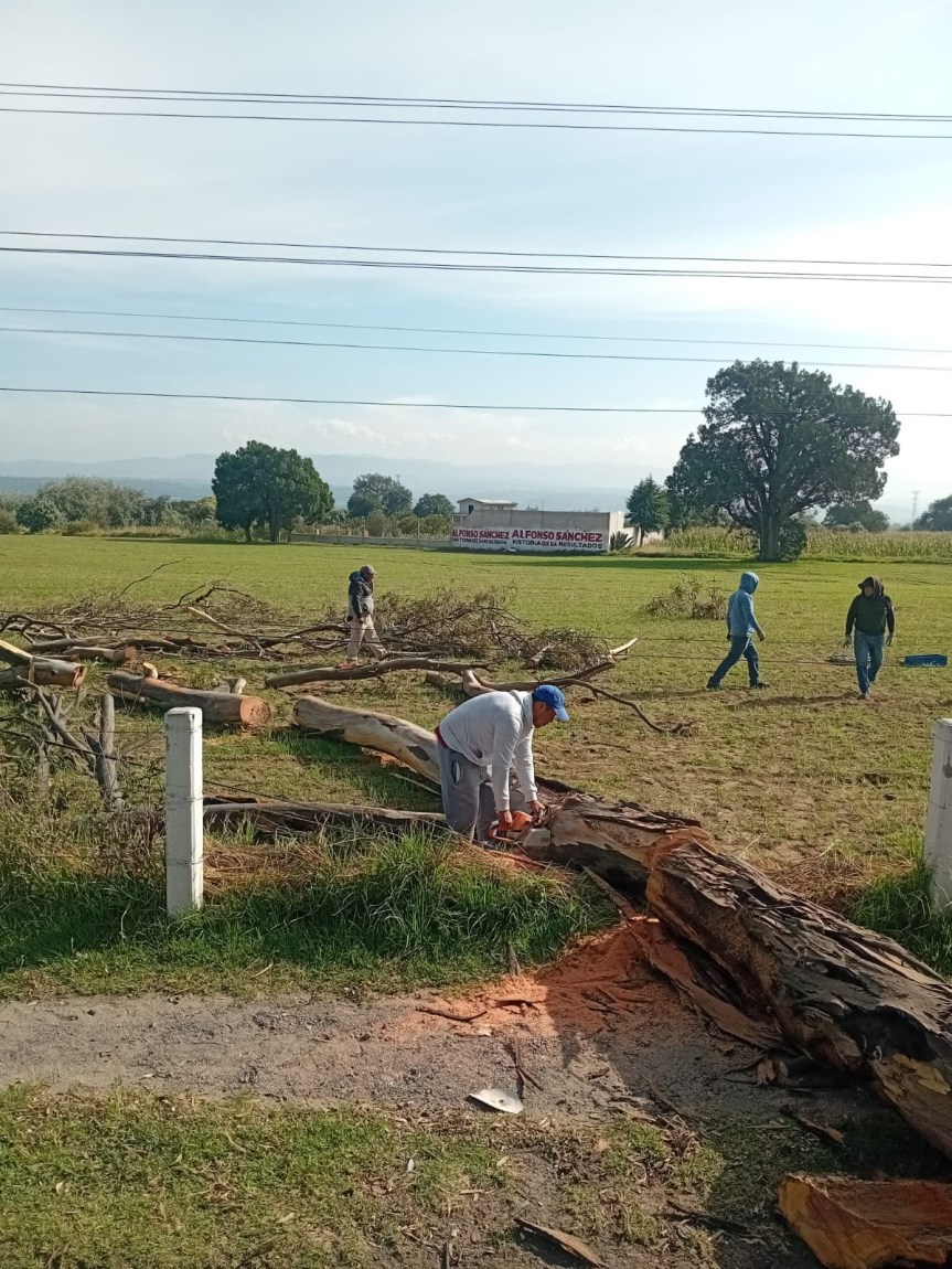 AYUNTAMIENTO DE HUAMANTLA ATIENDE DE MANERA INMEDIATA CAÍDA DE ÁRBOL QUE AFECTÓ SUMINISTRO ELÉCTRICO EN EL CORREDOR&nbsp;INDUSTRIAL