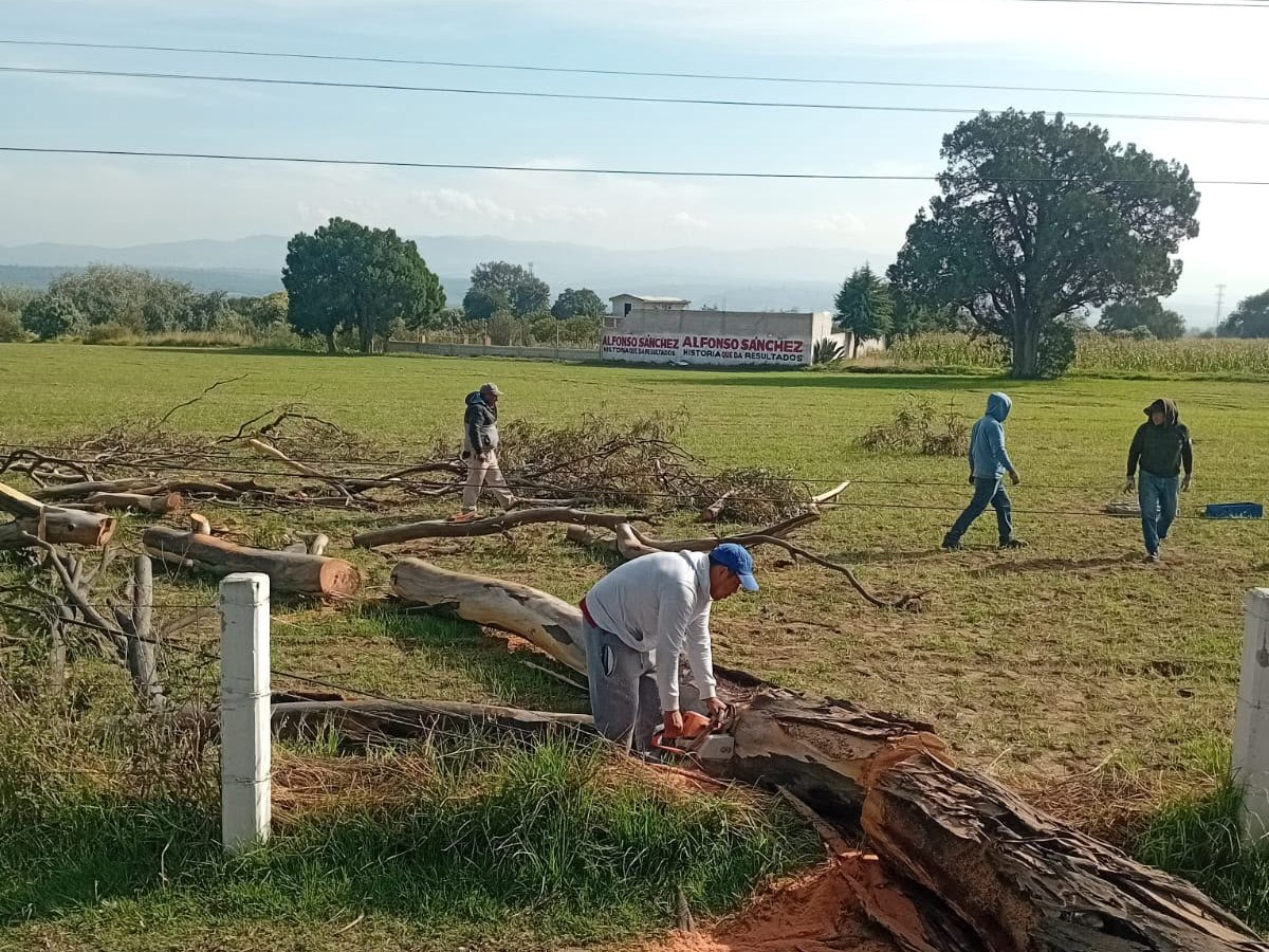 AYUNTAMIENTO DE HUAMANTLA ATIENDE DE MANERA INMEDIATA CAÍDA DE ÁRBOL QUE AFECTÓ SUMINISTRO ELÉCTRICO EN EL CORREDOR&nbsp;INDUSTRIAL